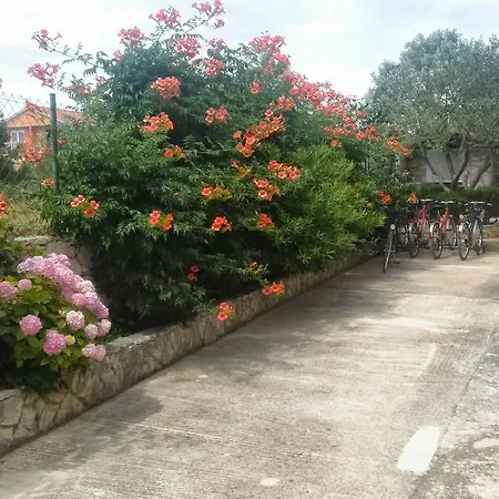 Apartman And Saric